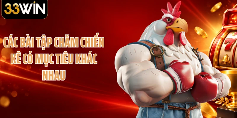 Các bài tập chăm chiến kê có mục tiêu khác nhau