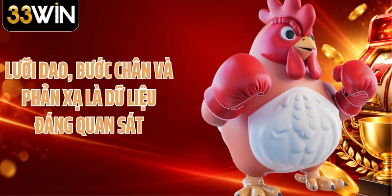 Lưỡi dao, bước chân và phản xạ là dữ liệu đáng quan sát