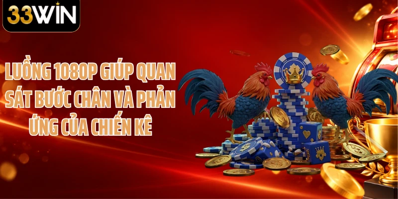 Luồng 1080p giúp quan sát bước chân và phản ứng của chiến kê